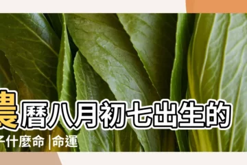 【八月初七出生的人命運】農曆八月初七出生的孩子什麼命 |命運好不好 |2023年農曆八月初七出生的男孩命運好不好 |