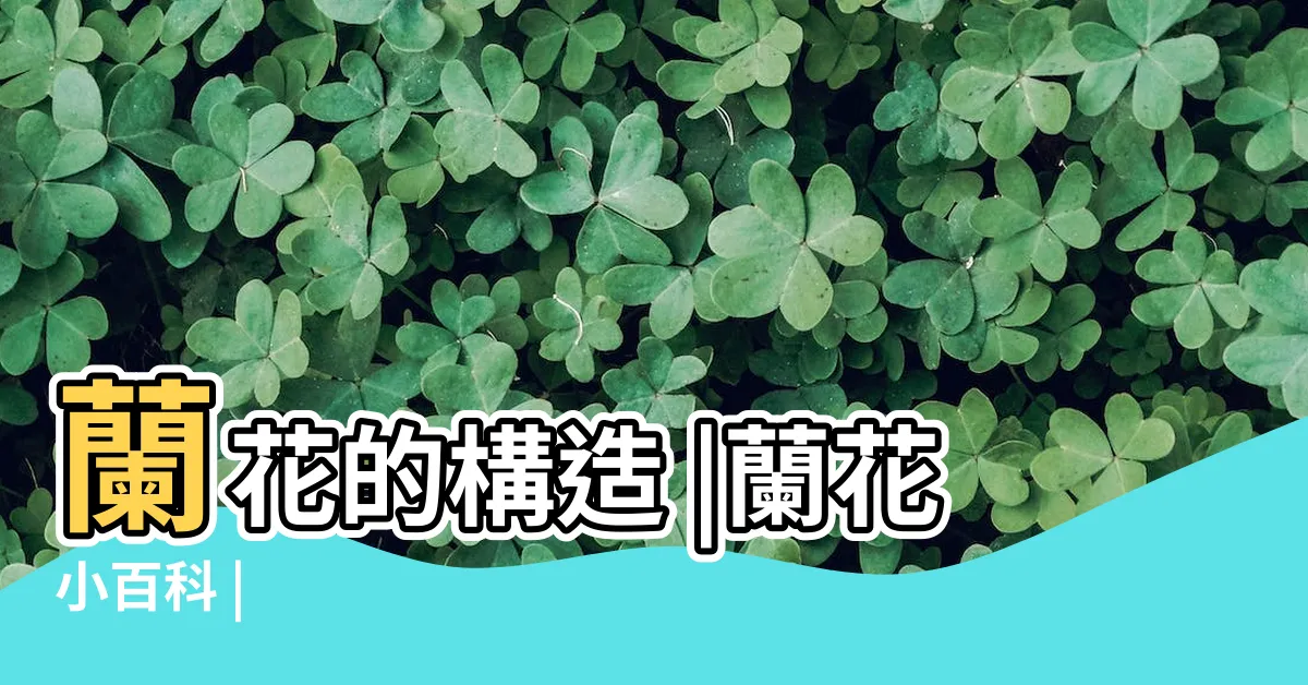 【蝴蝶蘭構造】蘭花的構造 |蘭花小百科 |
