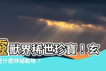 【玄武是什麼動物】靈獸界稀世珍寶！玄武是什麼神秘動物？