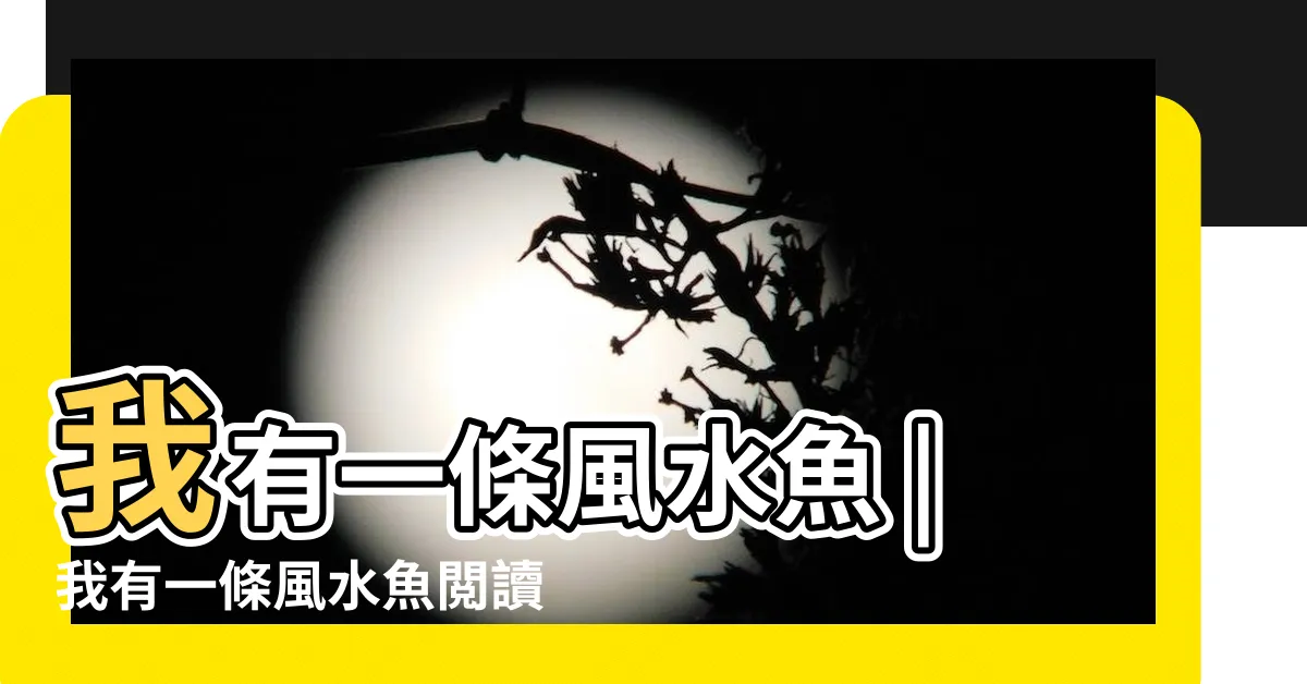 【我有一條風水魚】我有一條風水魚 |我有一條風水魚閲讀 |我有一條風水魚天天看書 |