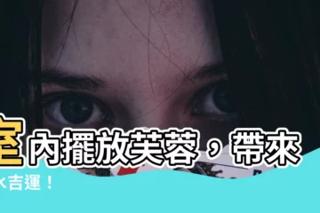 【芙蓉擺放位置】室內擺放芙蓉，帶來風水吉運！