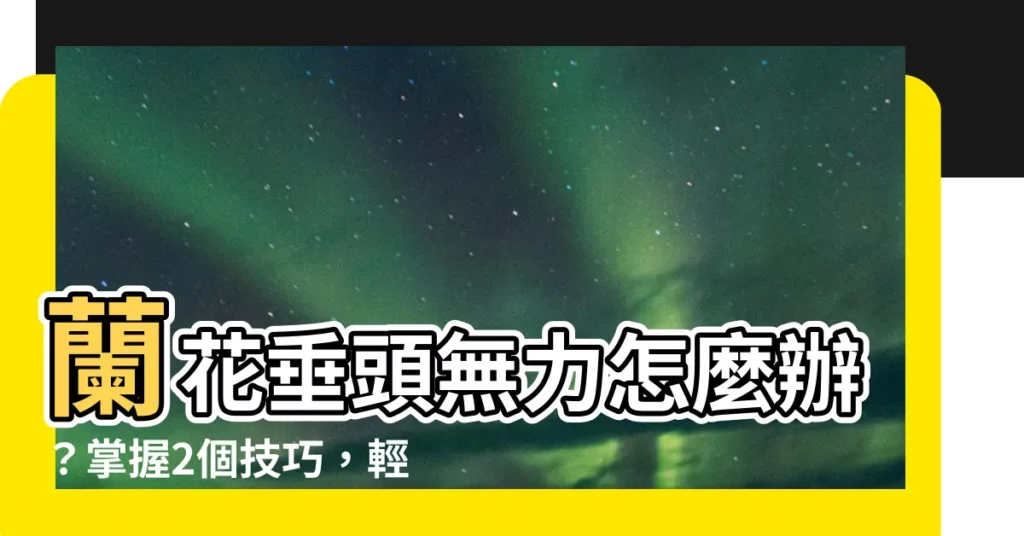【蘭花垂頭】蘭花垂頭無力怎麼辦？掌握2個技巧，輕鬆讓蘭花葉挺直