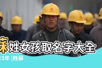 【取名字蘇女孩名字大全】蘇姓女孩取名字大全2023年 |姓蘇的女孩名字超好聽 |姓蘇的女孩名字 |