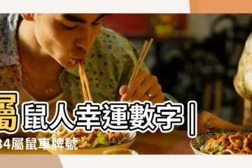 【1984年屬鼠最佳車牌號】屬鼠人幸運數字 |1984屬鼠車牌號幸運字母生肖鼠車牌幸運數字 |84年屬鼠車牌號碼什麼最好 |