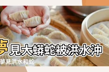 【夢見蟒蛇和洪水】夢見大蟒蛇被洪水沖走 |夢見洪水和蛇 |夢見蛇洪水什麼意思 |
