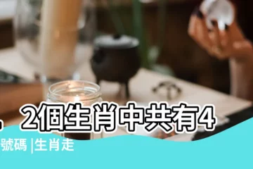 【生肖對號碼是多少】12個生肖中共有49個號碼 |生肖走勢圖V2 |十二生肖對照表十二生肖紀年對照表 |