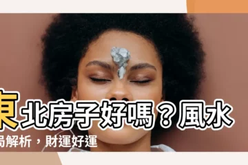 【東北房子】東北房子好嗎？風水佈局解析，財運好運通通來！