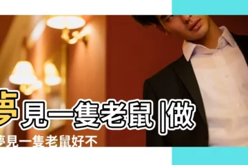 【夢見看到了一隻老鼠】夢見一隻老鼠 |做夢夢見一隻老鼠好不好 |夢見一隻老鼠 |