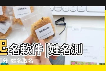 【取名大全測試打分軟件】起名軟件 |姓名測試打分 |姓名取名字打分測試 |