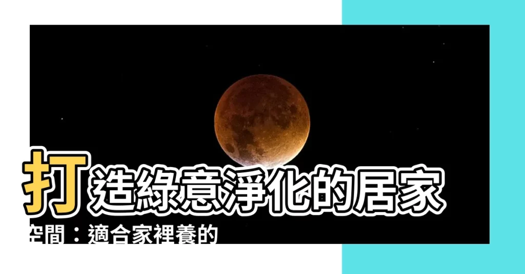 【家裏適合養什麼植物】打造綠意淨化的居家空間：適閤家裡養的 6 大好選擇