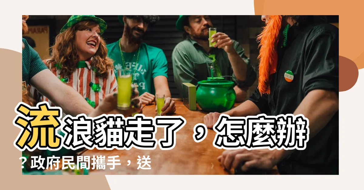 【貓死了怎麼處理】流浪貓走了，怎麼辦？政府民間攜手，送牠們前往彩虹天堂🌈