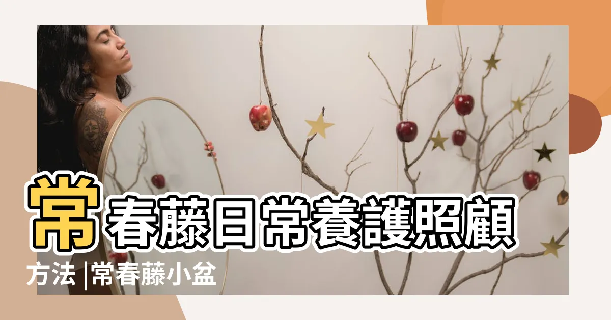 【常春藤 照顧】常春藤日常養護照顧方法 |常春藤小盆基地盆常春藤盆栽好養植物室內垂吊蘭長春藤吸 |常春藤盆栽養殖方法 |