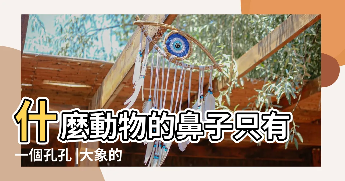 【大象鼻孔】什麼動物的鼻子只有一個孔孔 |大象的長鼻子如何演化成取食器官 |中國新聞網 |