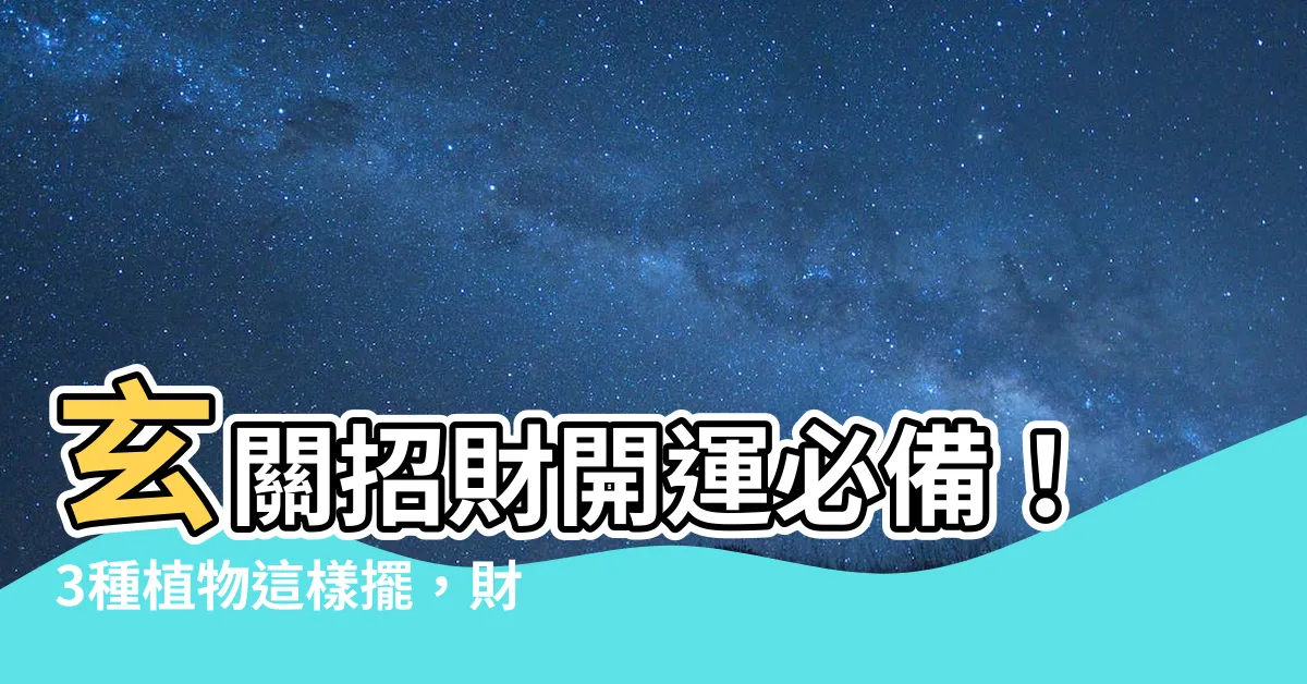 【玄關風水植物】玄關招財開運必備！3種植物這樣擺，財源滾滾來