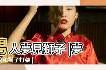 【夢到前有狼後有獅子】男人夢見獅子 |夢見狼和獅子打架 |夢見獅子狼是什麼徵兆 |