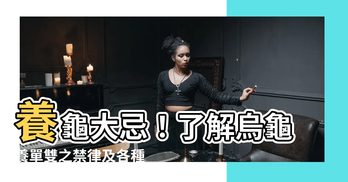 【烏龜不能養兩隻】養龜大忌！瞭解烏龜養單雙之禁律及各種品種！