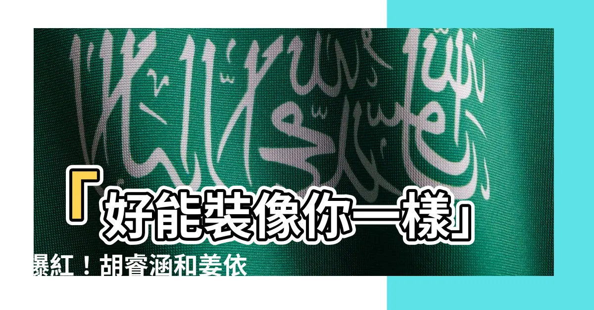 【好能裝像你一樣】「好能裝像你一樣」爆紅！胡睿涵和姜依寧的港姐互動引爭議