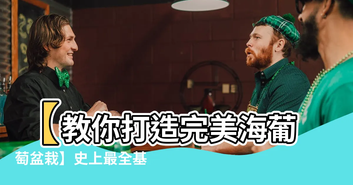 【海葡萄盆栽】【教你打造完美海葡萄盆栽】史上最全基礎養護指南</h1