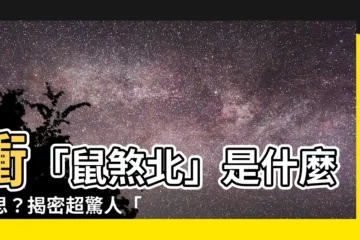 【煞北的意思】衝「鼠煞北」是什麼意思？揭密超驚人「煞北」的意思！