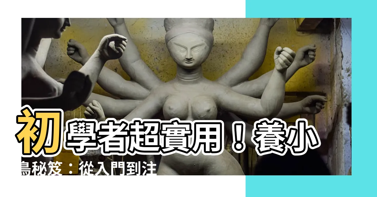 【養小鳥】初學者超實用！養小鳥秘笈：從入門到注意事項一次搞定