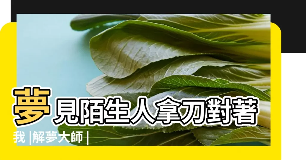 夢見陌生人拿刀對著我 |解夢大師 |夢見有人拿刀要砍我 |【夢見三個男人拿刀想進我家】