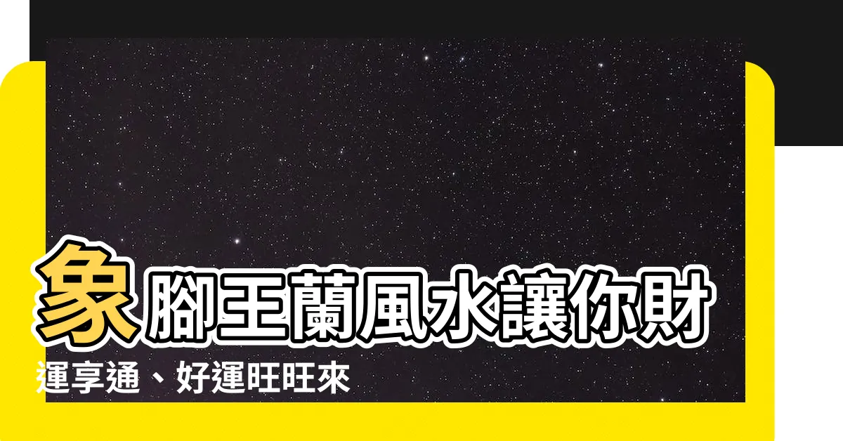 【象腳王蘭風水】象腳王蘭風水讓你財運享通、好運旺旺來