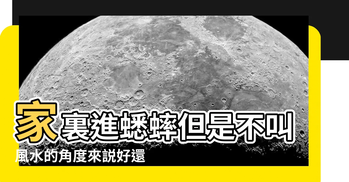 【家中出現蟋蟀】家裏進蟋蟀但是不叫風水的角度來説好還是不好的預兆 |樓房高層來了蟋蟀代表什麼 |具體體現在什麼方面 |