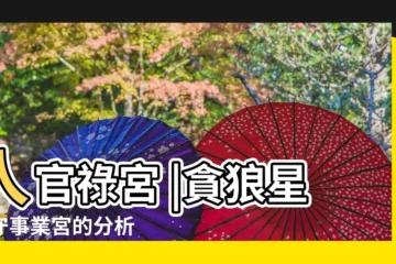 【事業宮貪狼平權】入官祿宮 |貪狼星坐守事業宮的分析 |己幹貪狼化權在十二宮位的簡單解釋 |
