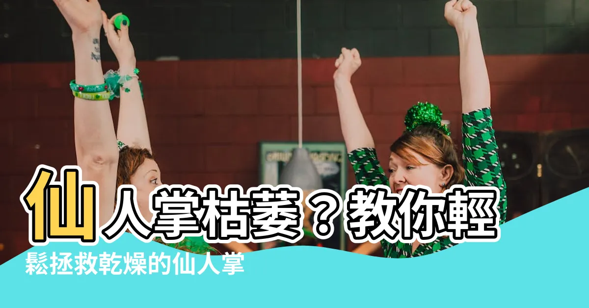 【仙人掌枯萎】仙人掌枯萎？教你輕鬆拯救乾燥的仙人掌！