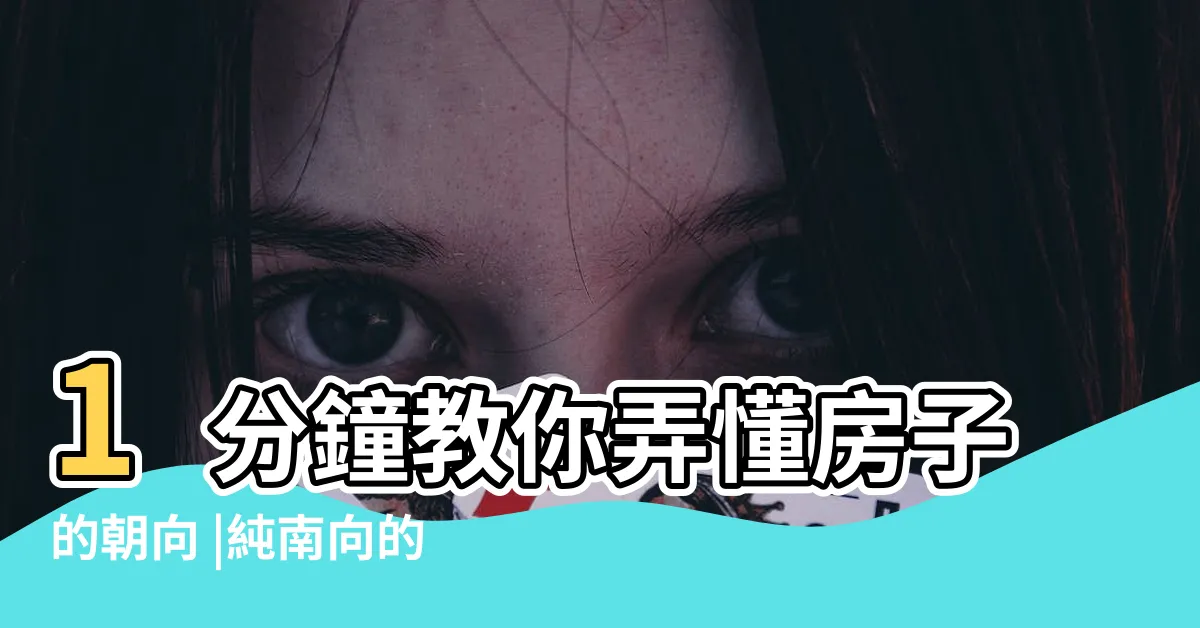 【屋子向南好嗎】1分鐘教你弄懂房子的朝向 |純南向的房子一定好嗎 |純南向户型的優缺點 |