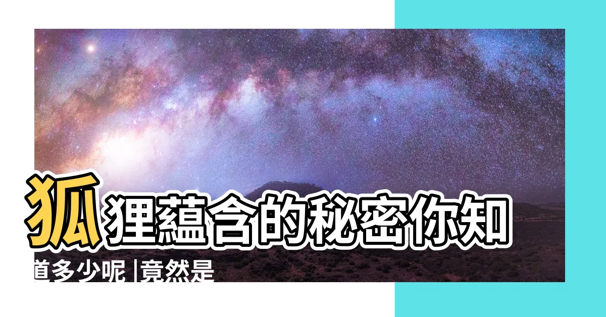 【狐狸象徵】狐狸藴含的秘密你知道多少呢 |竟然是福氣的象徵 |狡猾精明的狐狸 |