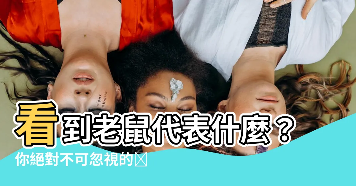 【看到老鼠代表】看到老鼠代表什麼？你絕對不可忽視的預兆！