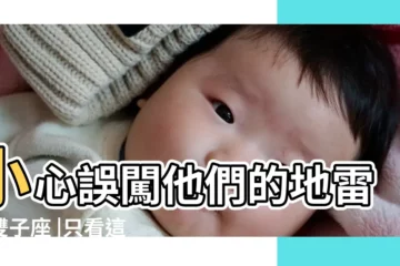 【雙子男總挑剔女友】小心誤闖他們的地雷區雙子座 |只看這五點 |他愛不愛你 |
