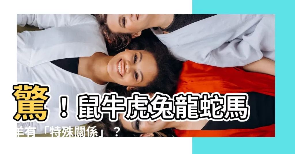 【子鼠 丑牛 寅虎 卯兔 辰龍 巳蛇 午馬 未羊】驚！鼠牛虎兔龍蛇馬羊有「特殊關係」？這篇文章一次告訴你