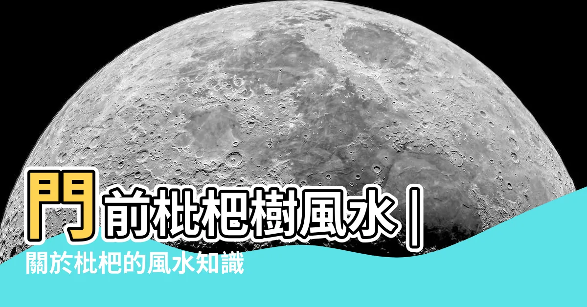 【枇杷 風水】門前枇杷樹風水 |關於枇杷的風水知識 |枇杷樹的風水禁忌 |