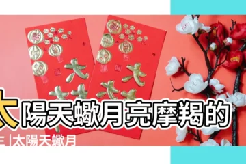 【日摩羯月天蠍男生性格特點】太陽天蠍月亮摩羯的男生 |太陽天蠍月亮摩羯的性格解析 |他們有什麼特點 |