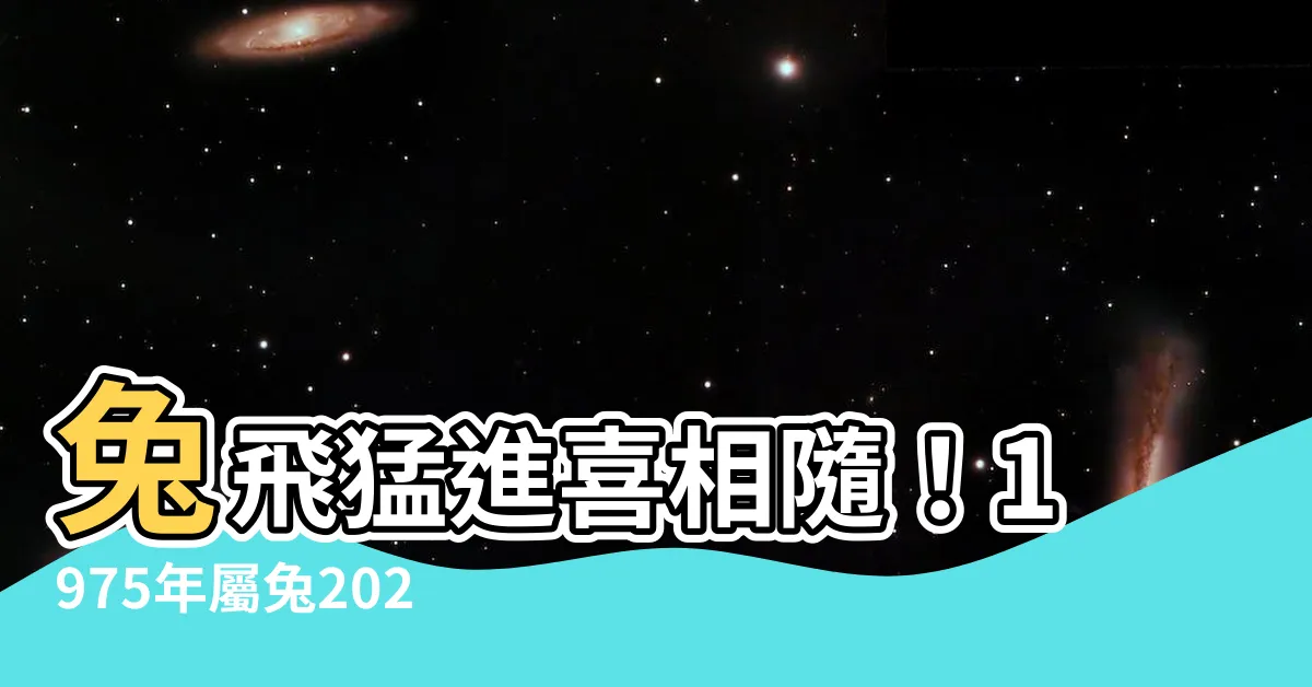 【2024 兔年運程 1975】兔飛猛進喜相隨！1975年屬兔2024兔年運程全解析