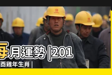 【2017年生肖鼠12個月】每月運勢 |2017丁酉雞年生肖 |屬鼠人2017年12月份運勢 |