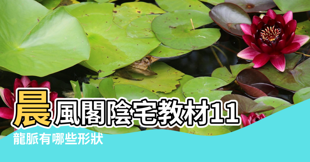 【清遠著名風水墓地】晨風閣陰宅教材11 |龍脈有哪些形狀 |十大墓地風水禁忌 |