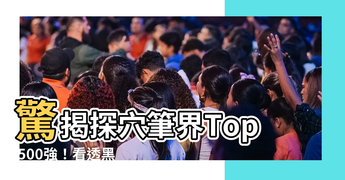 【探穴筆】驚揭探穴筆界Top 500強！看透黑暗的必備神器