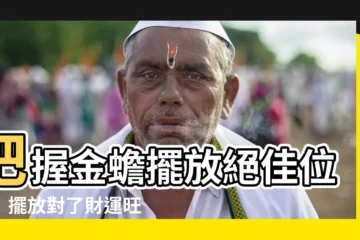 【金蟾擺放】把握金蟾擺放絕佳位置！擺放對了財運旺旺來