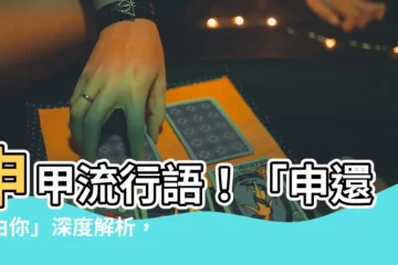 【申甲網路意思】申甲流行語！「申還是由你」深度解析，不能不知道！