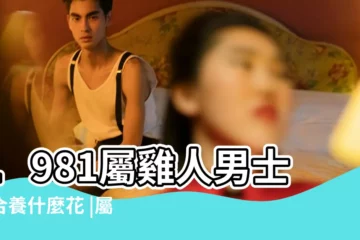 【81年屬雞適合養什麼花】1981屬雞人男士適合養什麼花 |屬雞人適合養什麼植物 |屬雞的家裏養什麼花最旺財 |