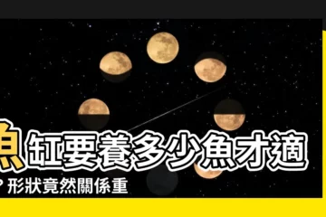 【魚缸養魚數量】魚缸要養多少魚才適宜？形狀竟然關係重大！