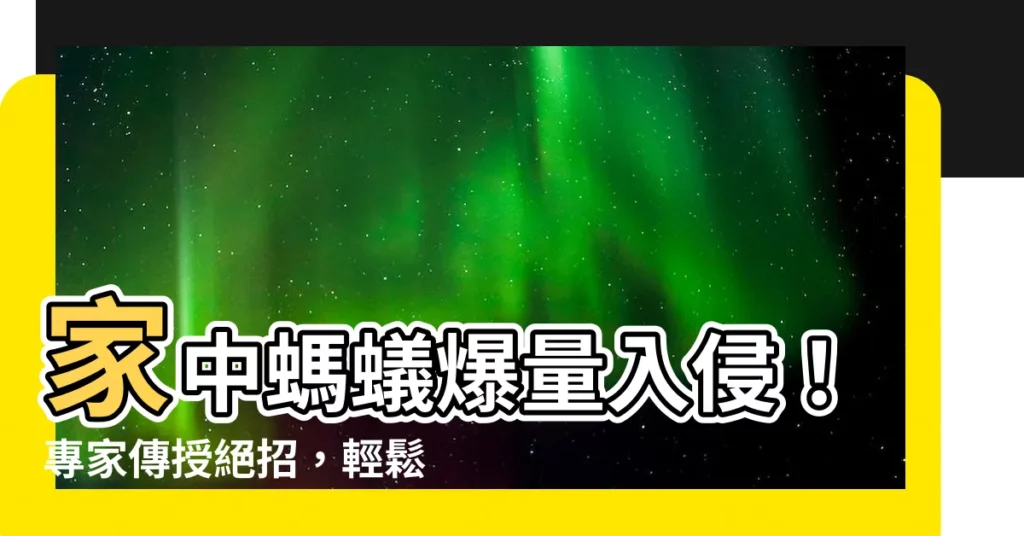 【很多螞蟻】家中螞蟻爆量入侵！專家傳授絕招，輕鬆驅散擾人小蟲