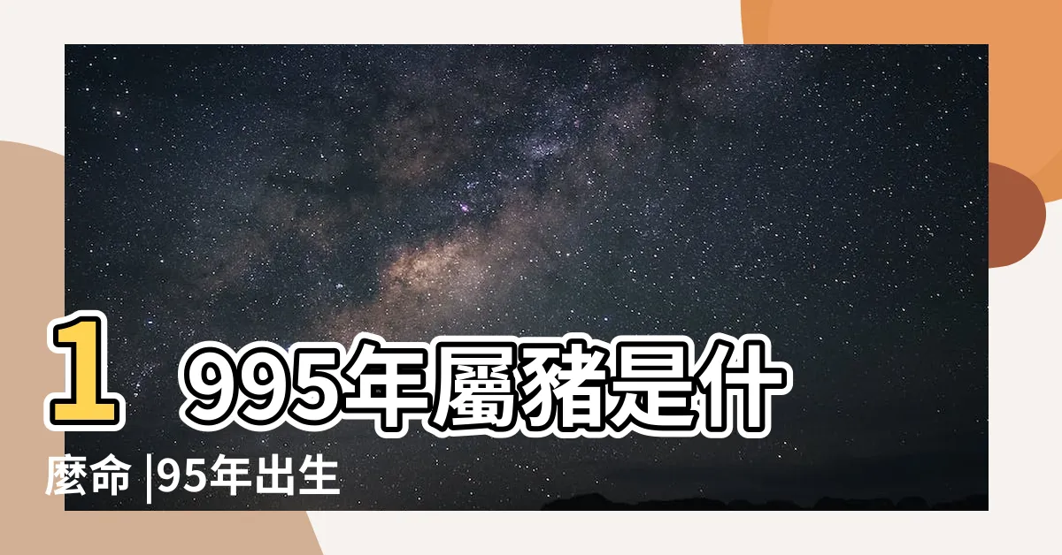 【1995五行屬什麼】1995年屬豬是什麼命 |95年出生五行屬什麼 |1995年出生屬什麼生肖1995年出生是什麼命理 |