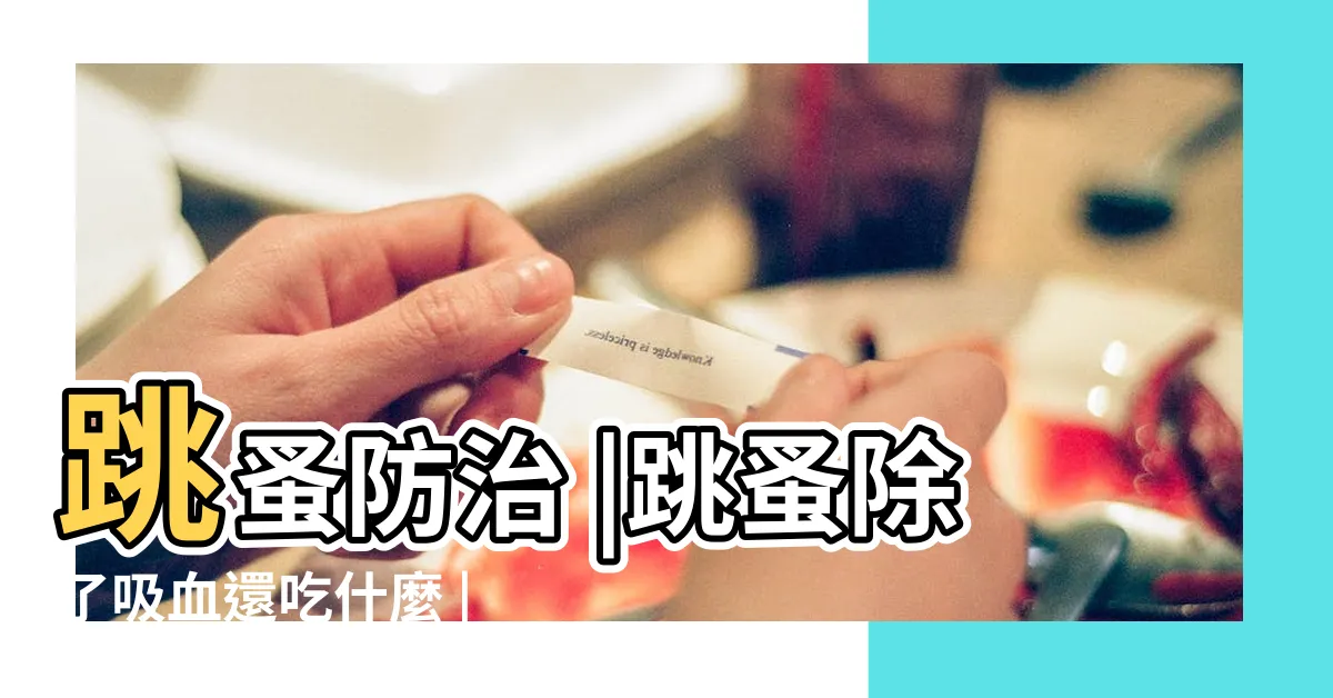 【跳蚤吃什麼】跳蚤防治 |跳蚤除了吸血還吃什麼 |跳蚤能不能被餓死 |