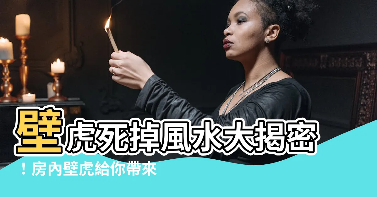 【壁虎死掉風水】壁虎死掉風水大揭密！房內壁虎給你帶來什麼祥瑞徵兆？