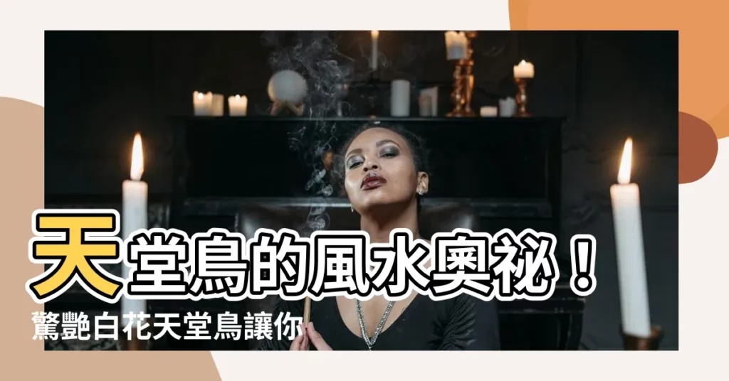 【白花天堂鳥風水】天堂鳥的風水奧秘！驚艷白花天堂鳥讓你富貴吉祥、財運亨通