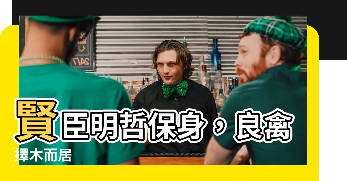 【良禽擇木而居】賢臣明哲保身，良禽擇木而居